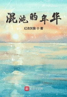 混沌的年華