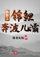 西游之锦鲤奔波儿灞在线阅读
