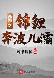 西游之錦鯉奔波兒灞