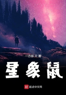 星象鼠