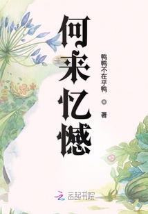 何來憶憾