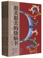 很美很美的烧脑书：世界智力开发经典题、黄金题、关键题（全4册）