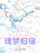 魂梦归宿在线阅读