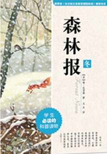 森林報：冬