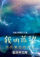 我叫蓝染,木叶第五代火影在线阅读