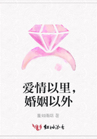 愛情以里，婚姻以外在線閱讀