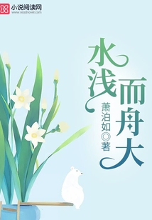 水淺而舟大