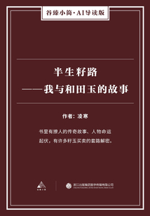 半生籽路:我與和田玉的故事(谷臻小簡·AI導(dǎo)讀版)