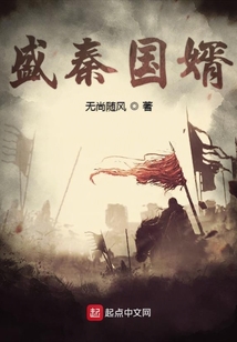 盛秦國(guó)婿