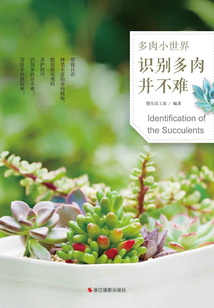 多肉小世界：識別多肉并不難