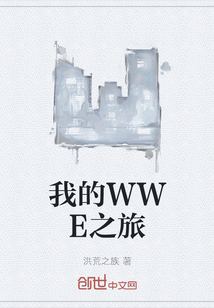 我的WWE之旅