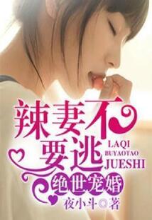 絕世寵婚：辣妻，不要逃