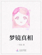 梦镜真相在线阅读