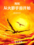 海贼:从火影手游开始在线阅读