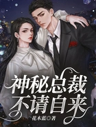 神秘总裁,不请自来在线阅读
