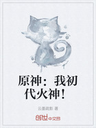 原神:我初代火神!在线阅读