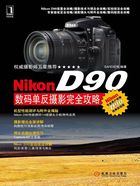 Nikon D90数码单反摄影完全攻略