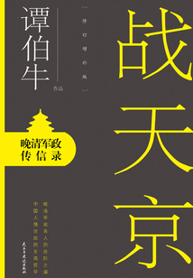 战天京(修订增补版)