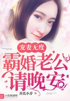 寵妻無度：霸婚老公請晚安在線閱讀