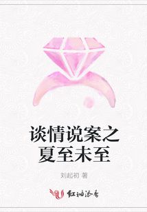 談情說案之夏至未至