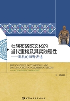 壮族布洛陀文化的当代重构及其实践理性：那县的田野表述在线阅读