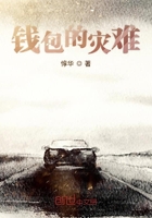 钱包的灾难