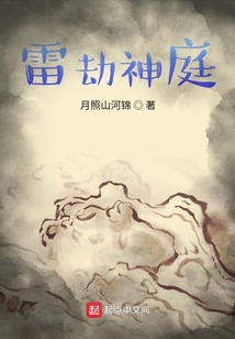 無上仙國從掌控雷劫開始