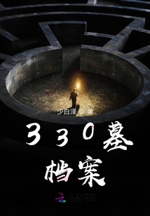 330墓档案