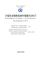 宁夏社会保险发展年度报告2017（汉·英）