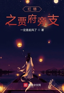 紅樓之賈府旁支