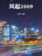 风起2009在线阅读