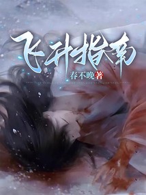飛升指南