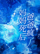 妈妈死后,爸爸疯了在线阅读