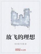 放飞的理想在线阅读
