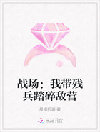 战场:我带残兵踏碎敌营在线阅读
