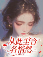 从此尘音各悄然在线阅读