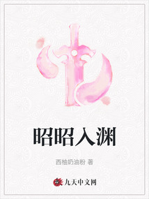 昭昭入渊