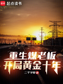 重生煤老板：開局黃金十年