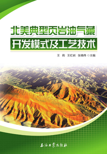 北美典型頁巖油氣藏開發模式及工藝技術