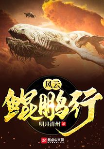 風云鯤鵬行