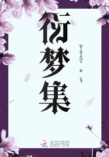 衍梦集