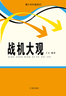 戰機大觀