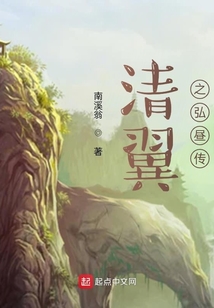 清翼之弘昼传