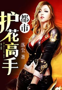 都市護花高手