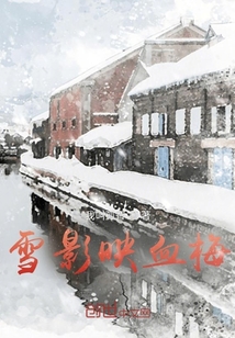 雪影映血梅