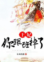 王妃，你跟班掉了在線閱讀