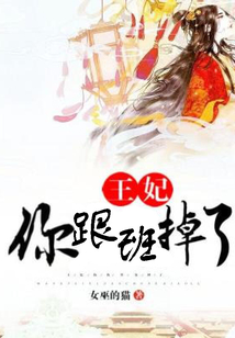 王妃，你跟班掉了