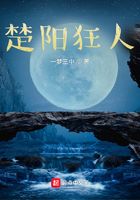 楚陽狂人在線閱讀