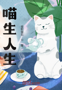 喵生人生