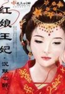红娘王妃在线阅读